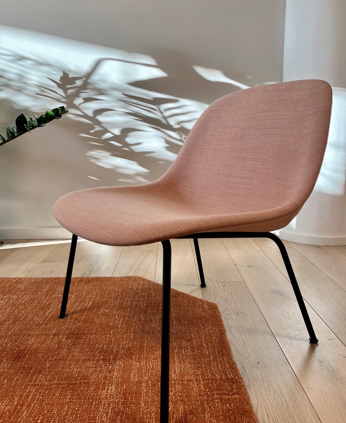 Reception opening hours