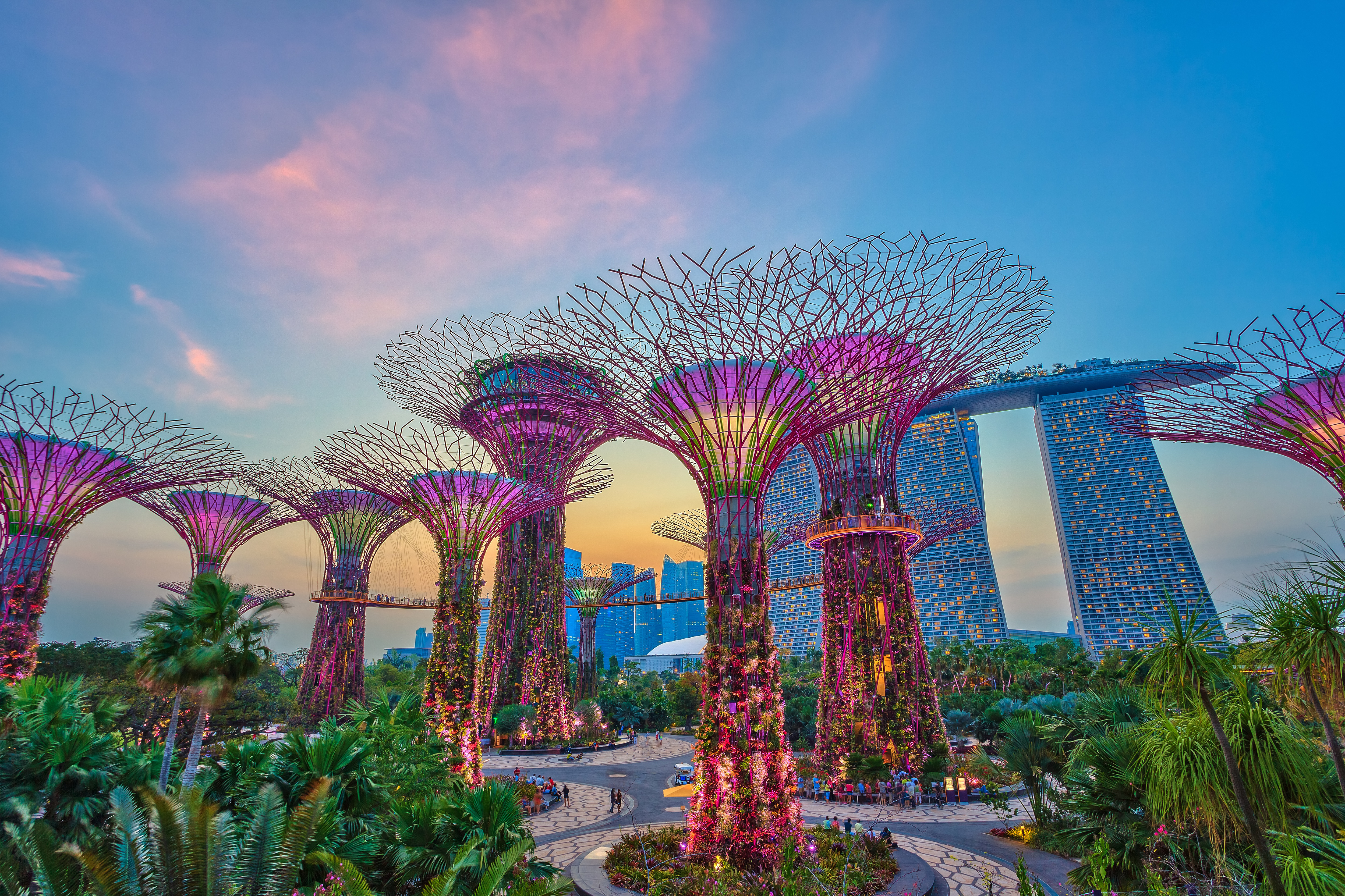 INTA 2023: See you in Singapore
